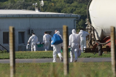 Potvrđen slučaj afričke svinjske kuge u Hrvatskoj