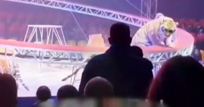 Tigar skočio među gledatelje u cirkusu, uslijedila je neviđena panika