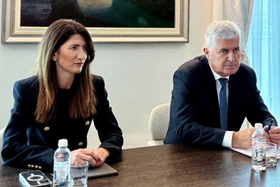 VRIJEĐANJE INTELIGENCIJE: Darijana Filipović svojom kampanjom Hrvate smatra idiotima