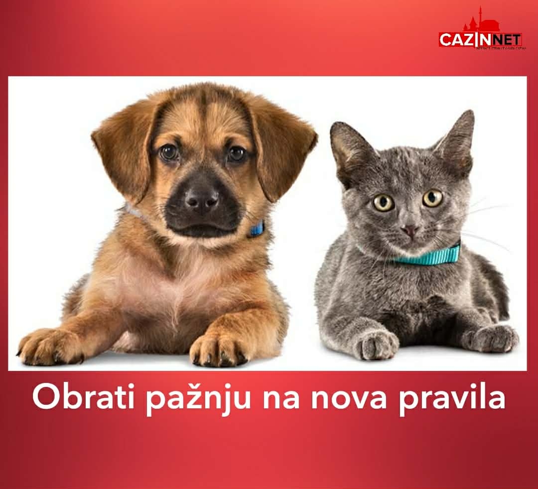 Nemojte da nismo rekli - Nova pravila za kućne ljubimce koji putuju u EU