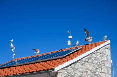 Proizvođači poručili Đokiću i Petroviću: Ne tražimo pare, već institucionalnu podršku