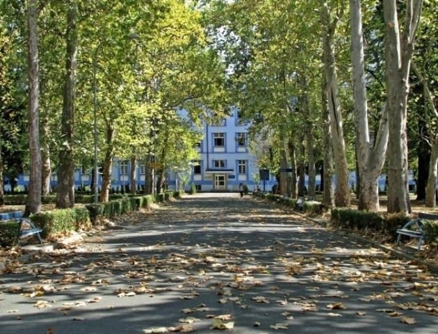 Kad filozofija utihne: Jovan Ćulibrk, univerzitet i borba za javni prostor