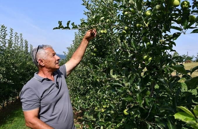 Voćarima u Srpskoj nova pomoć za zaštitu od štetočina