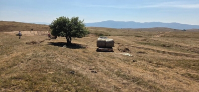Spasitelji iz Cazina pomažu divljim konjima u Livnu