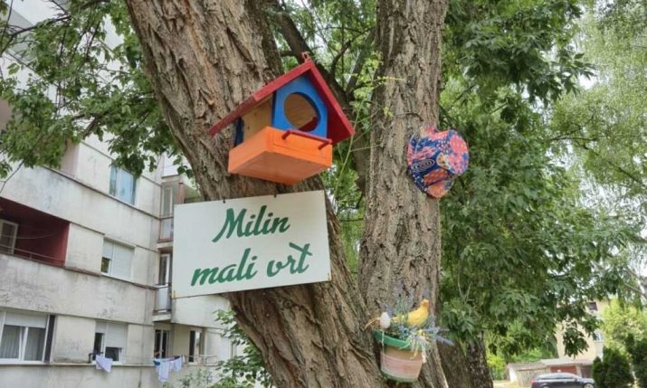 Ispred ove zgrade komšije često pjevaju: Vrt u Banjaluci kakav niste vidjeli (Foto/Video)