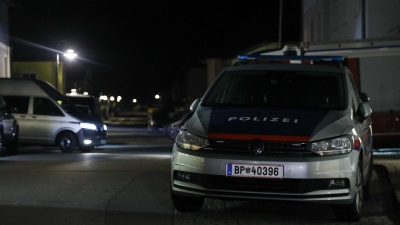 Druženje se pretvorilo u sukob: Mladić iz BiH u Austriji izbo 16-godišnjaka nožem u grudi