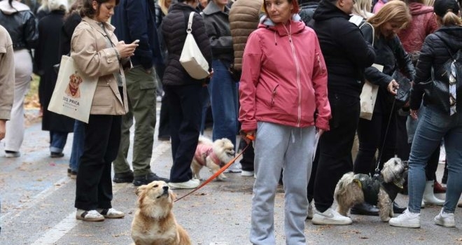 Velika gužva na Vilsonovom šetalištu u Sarajevu: Zavirite na prvi Festival pasa svih rasa 'Šapa sreće'
