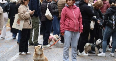 Velika gužva na Vilsonovom šetalištu u Sarajevu: Zavirite na prvi Festival pasa svih rasa 'Šapa sreće'