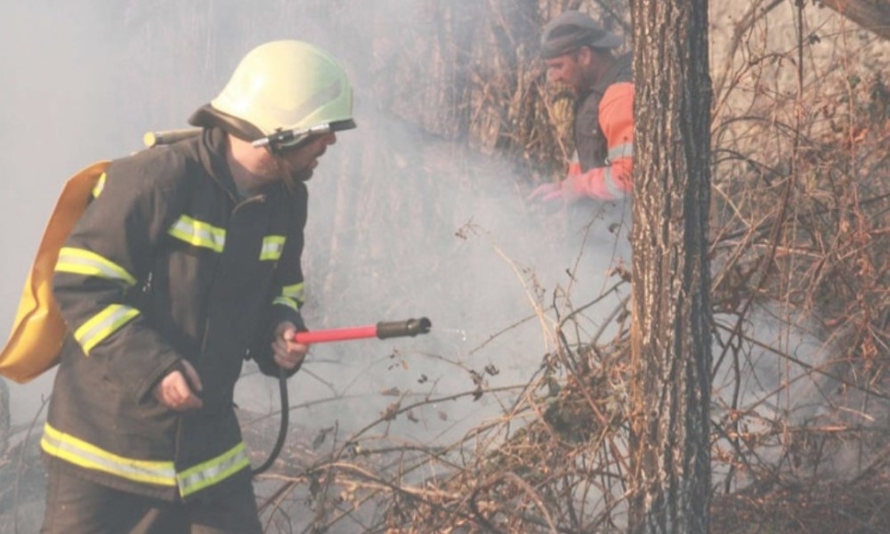 Vatra buknula u Zasad polju i zaprijetila kućama, vatrogasci brzo reagovali