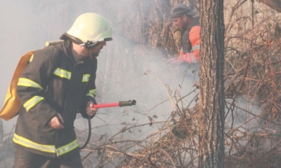 Vatra buknula u Zasad polju i zaprijetila kućama, vatrogasci brzo reagovali