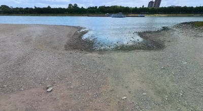 Због историјски ниског водостаја Рајне обустављен ријечни саобраћај