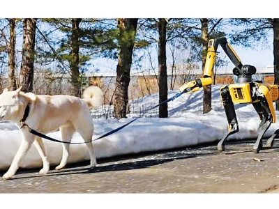 Budućnost je stigla: Robot šeta psa bez čovjeka