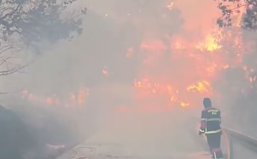 Veliki požar zahvatio i područje Pelješca, čekaju se dva kanadera