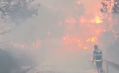 Veliki požar zahvatio i područje Pelješca, čekaju se dva kanadera