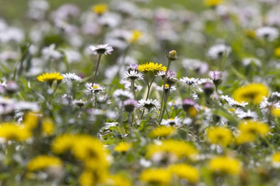 KAKVO NAS VRIJEME OČEKUJE TOKOM DANA: U Bosni sunčano, a u Hercegovini čuvajte se...