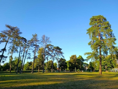 U utorak sunčano, temperatura do 32 stepena