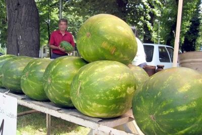 Uhapšen FANTOM iz Banjaluke: Mjesecima krao SLATKI PLIJEN