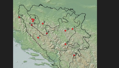 BiH ima čak 12 prašuma, a u jednoj stabla dostižu blizu 60 metara!