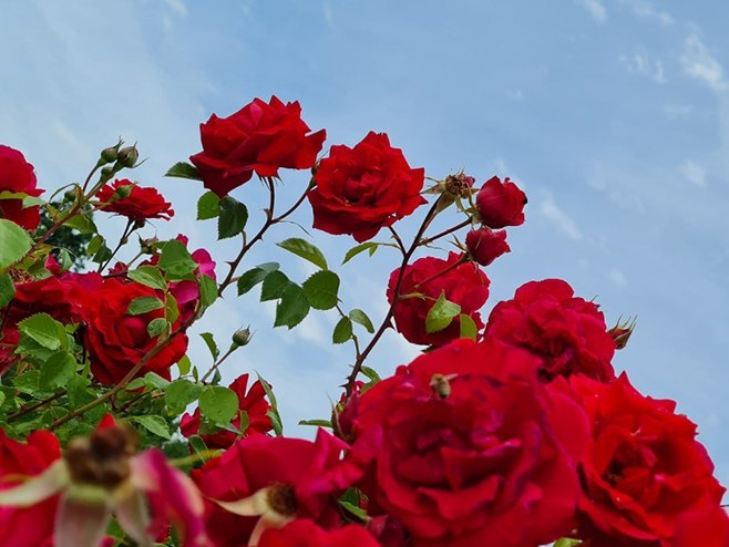 Kakvo nas vrijeme očekuje za Vaskrs?