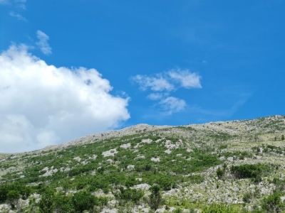 Sunčano i vruće, popodne moguća kiša