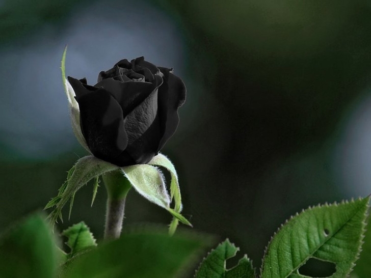 Umrla poznata glumica koju su svi voljeli