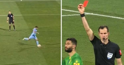 Hrvat sudi Borcu u revanšu