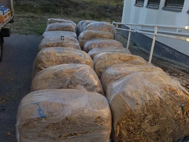 Na Žegulji oduzeto više od tone duvana (FOTO/VIDEO)