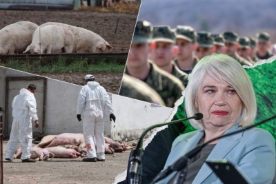 KUGA KOSI SVE PRED SOBOM, HRVATSKA NA RUBU VOJNE INTERVENCIJE: Hrvati se pitaju hoće li im svinjetina poskupiti
