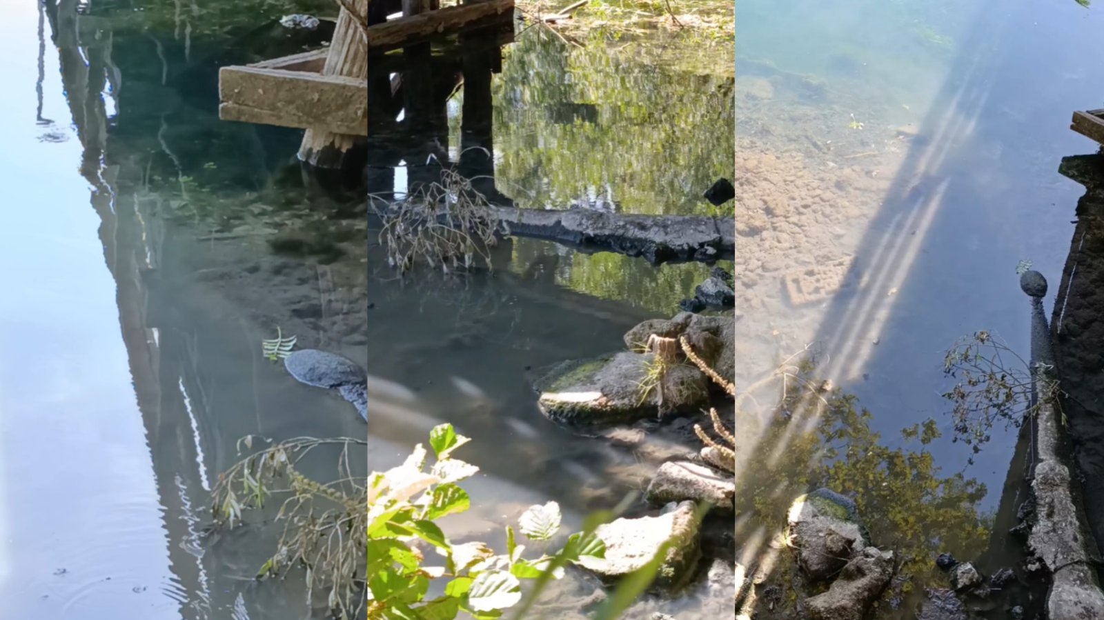 Una se guši u fekalijama: Šta je s nelegalnom gradnjom i kumovskim vezama?