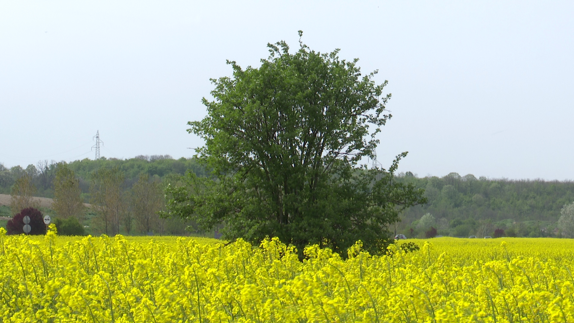 Oblačno i svježije vrijeme sa kišom, na jugu do 22°C
