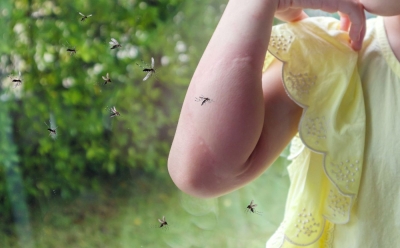 Čini vam se da ste magnet za komarce? Ovo su razlozi zašto vas stalno napadaju