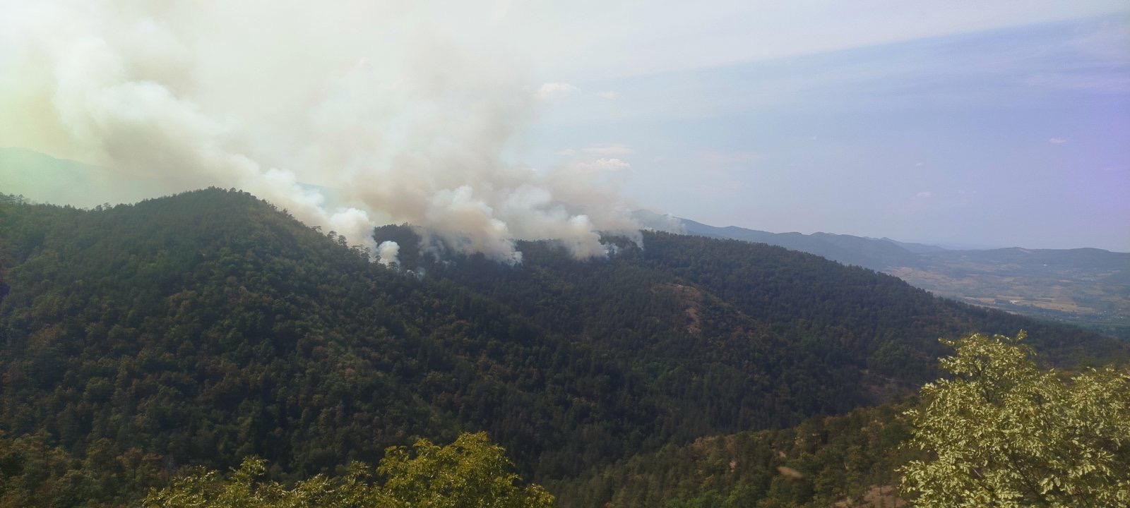 (FOTO) GROM ZAPALIO ŠUMU Tri požara izbila na području Teslića, vatrogasci vode tešku borbu
