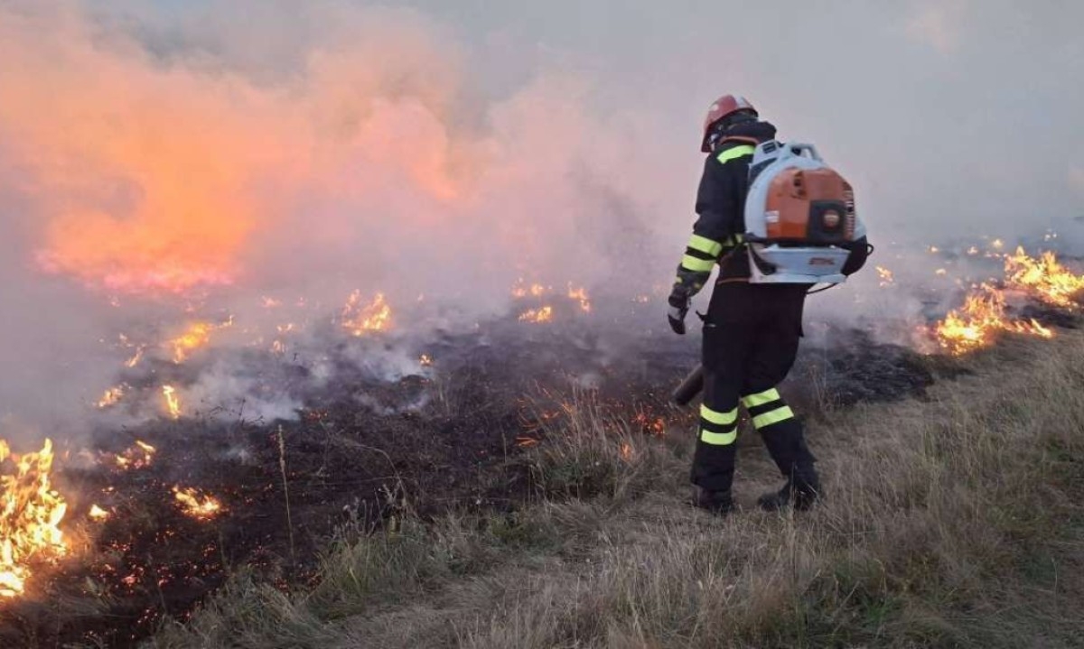 Žena (71) ložila vatru u dvorištu i zapalila planinu: Požar se proširio u dvije opštine u BiH