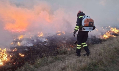 Žena (71) ložila vatru u dvorištu i zapalila planinu: Požar se proširio u dvije opštine u BiH