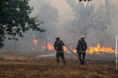 Makron: Saniraćemo štetu koju su nanijeli požari