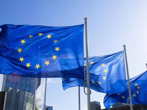 The Telegraph: "AfD želi uništenje Evropske unije"
