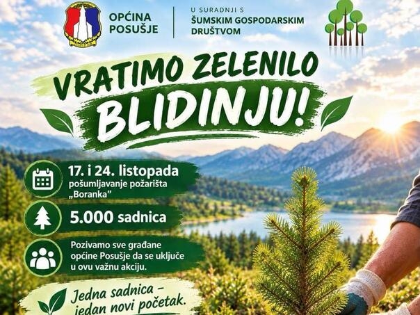 Na Blidinju će biti posađeno pet hiljada sadnica