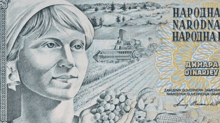 TAJNA „SIVE GOLUBICE“: Svi ste je držali u rukama, a niko nije znao ko je misteriozna žena sa najčuvenije jugoslovenske novčanice