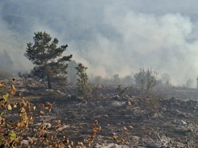 Spriječeno širenje vatre prema većem području Trebevića