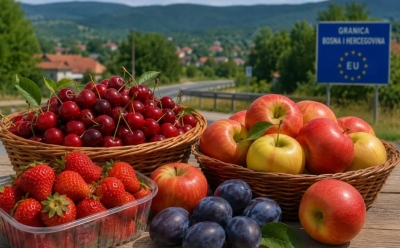 Pazite šta nosite preko granice: Voće, zimnica i gotovina mogu vas skupo koštati