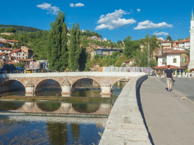 Dijaspora kao zaboravljeni resurs - da li je kasno za povjerenje i saradnju