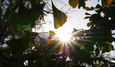 Pred nama pravi ljetni dan: Biće sunčano i toplo, temperatura ide do 31 stepen