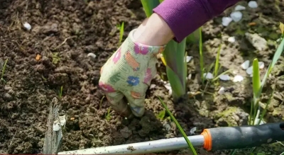 Жени пришао са леђа док је заливала цвијеће: Спасило је само једно