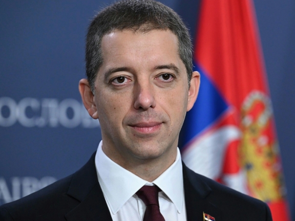 Podnesene krivične prijave protiv ministra Đurića i deset ambasadora Srbije