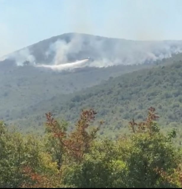 Air Tractor gasi požar iznad Popova polja