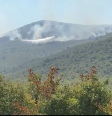 Air Tractor gasi požar iznad Popova polja
