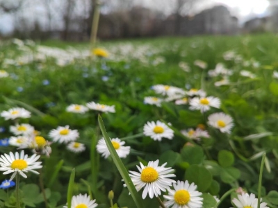 Sutra u prvom dijelu dana sunčano i toplo