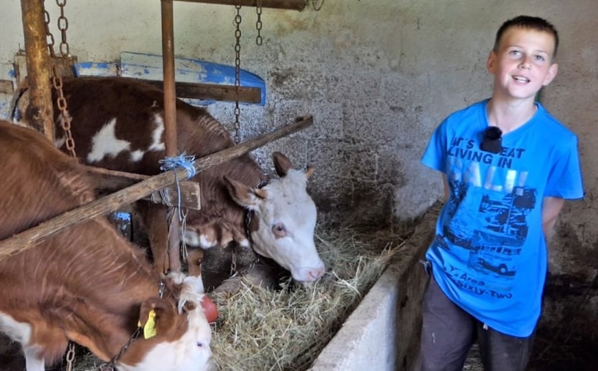 Mali, a veliki: Asim (11) iz BiH uzgaja stoku i poručuje vršnjacima - 'od telefona nema koristi'