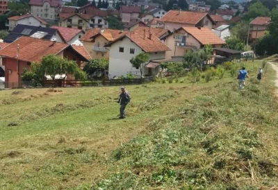 Banjaluka: Nastavlja se akcija uklanjanja ambrozije, građani pozvani da se uključe