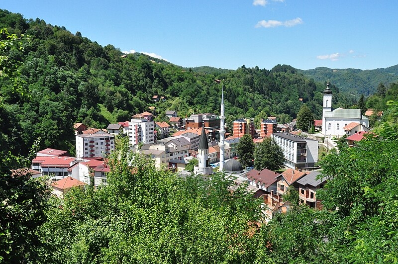 Zbog neprimjerenih objava na društvenim mrežama: Skupština opštine Srebrenica razriješila dužnosti Đozića